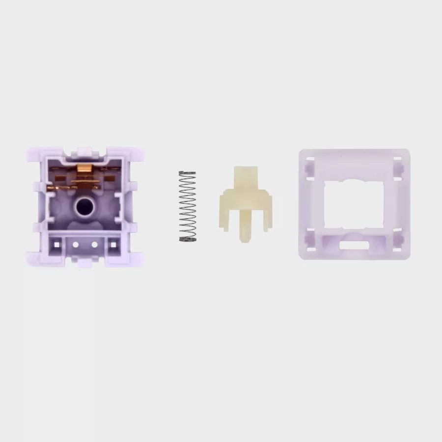 Hippo switch breakdown